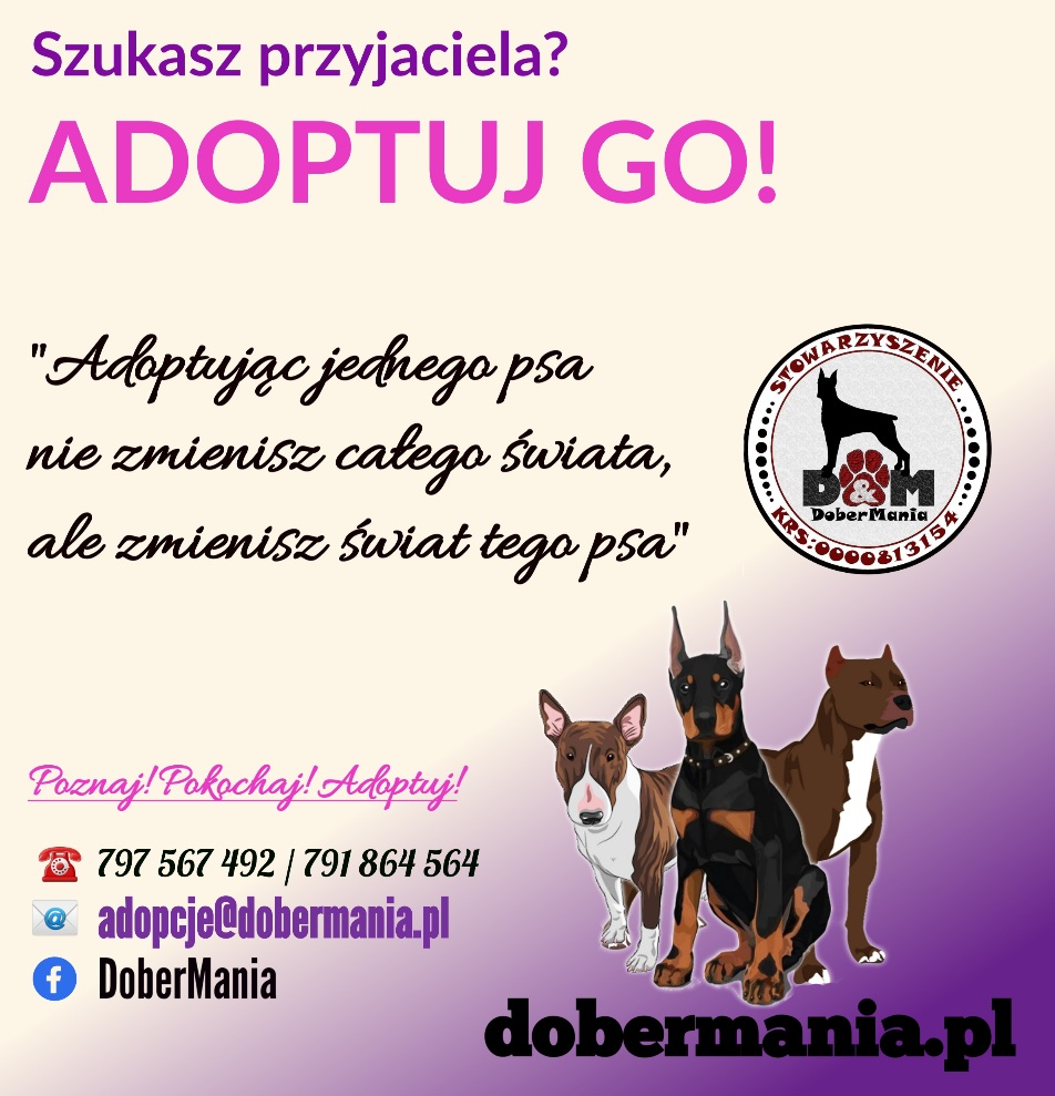 Dobermania - Rozliczenie opieki nad psami w 2023 roku