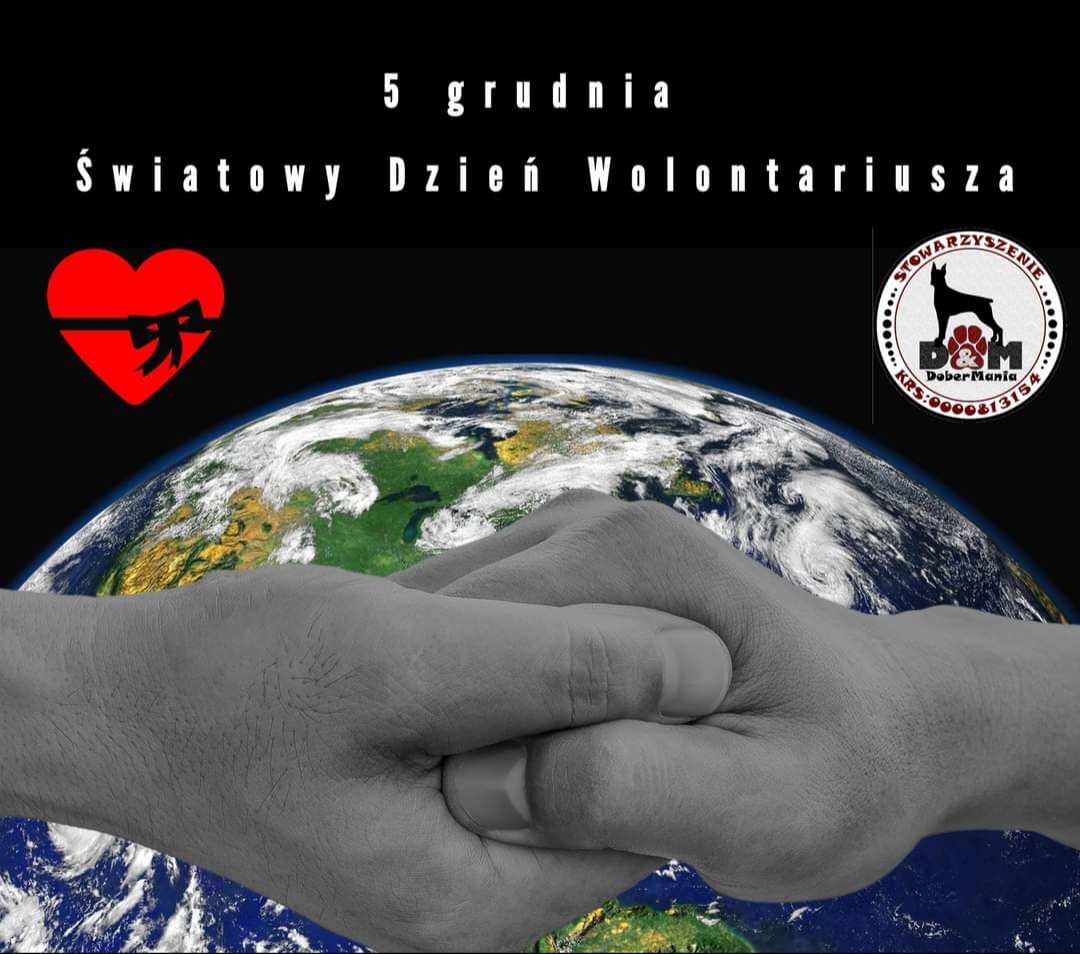 Dobermania - Dzień Wolontariusza - wspólne święto wszystkich wolontariuszy